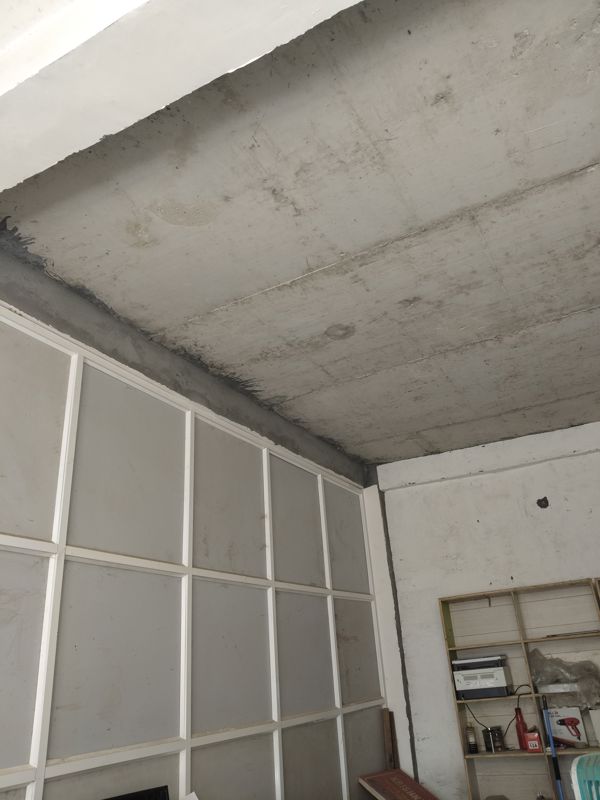 2 BHK + Pooja Room 1250 Sq.Ft. Apartment in Supertech Ecovillage I