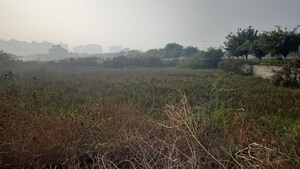  Plot For Sale in Dharampur