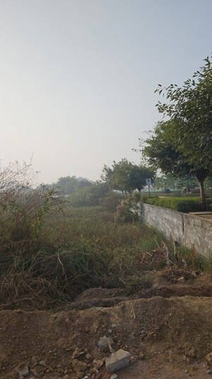 Plot Area in  Plot at Dharampur – for Sale