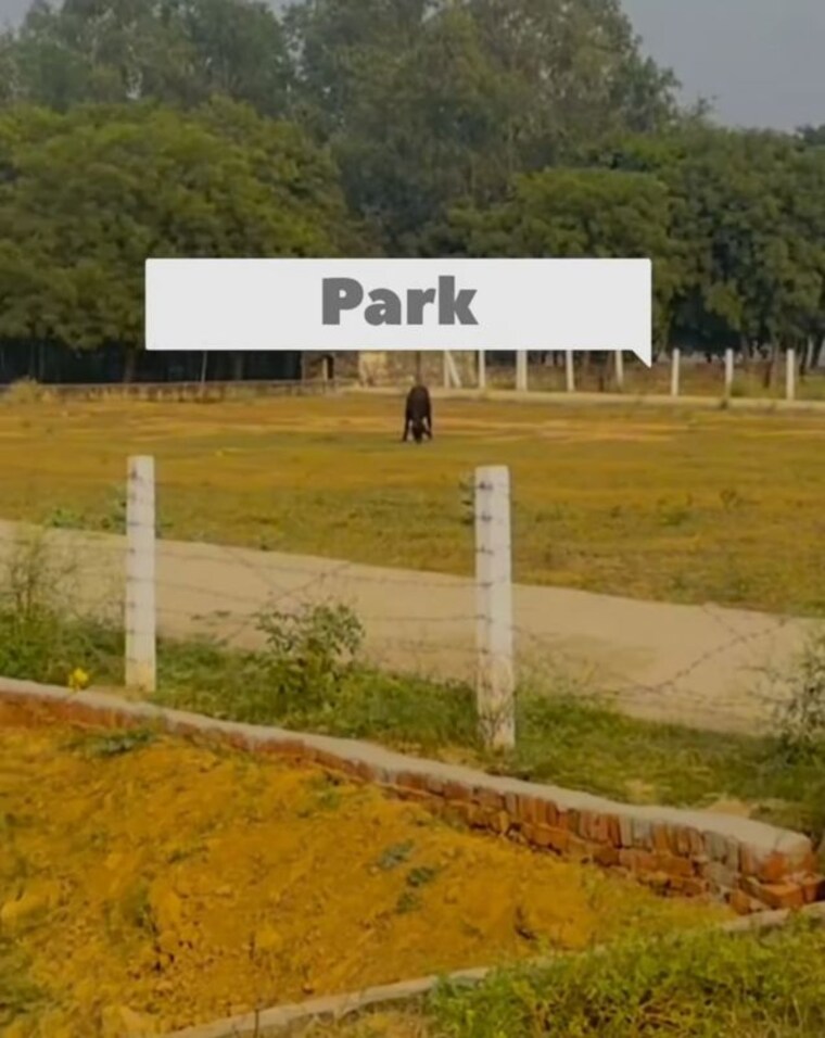 undefined, jaitpur baishpur  250 Sq.Mt. Plot In Jaitpur Baishpur Greater Noida 10322055