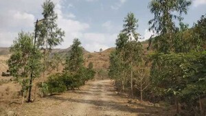 Plot Area in  Plot at Balaji Dham, Misalwadi – for Sale