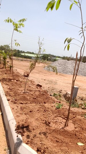 Plot Area in  Plot at Kadthal – for Sale