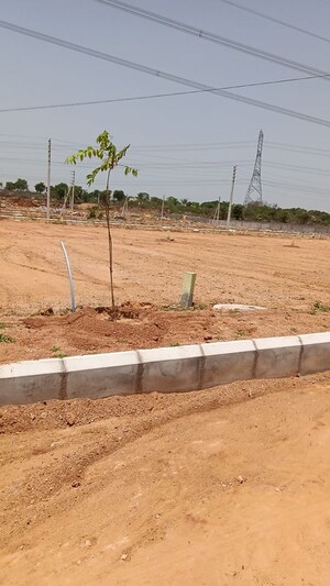 Plot Area in  Plot at Kadthal – for Sale