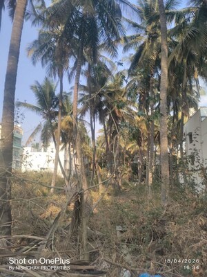 Plot Area in  Plot at Geddalahalli – for Sale