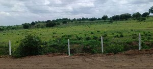 Plot Area in  Land at Kokapet – for Rent