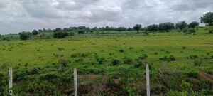 Plot Area in  Land at Kokapet – for Rent