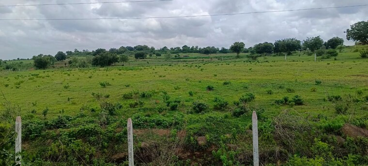 undefined, kokapet Commercial Land 2 Acre In Kokapet Hyderabad 10322271