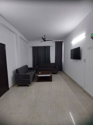 Living Room in 3 BHK Builder Floor at Sector 50 – for Rent