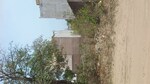 166 Sq.Yd. Plot in Lalarpura
