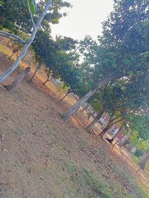  Plot – Garden View at Mucherla - for Sale