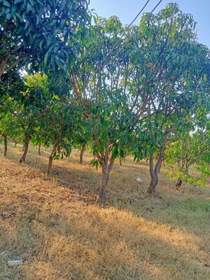 Plot Area in  Plot at Mucherla – for Sale