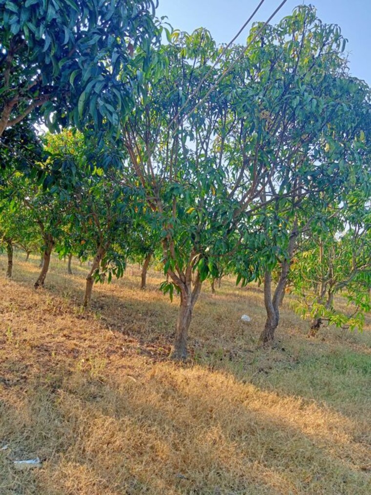 undefined, mucherla  4 Acre Plot In Mucherla Hyderabad 10322453