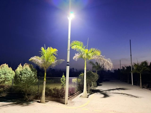 Plot For Sale in Biharigarh