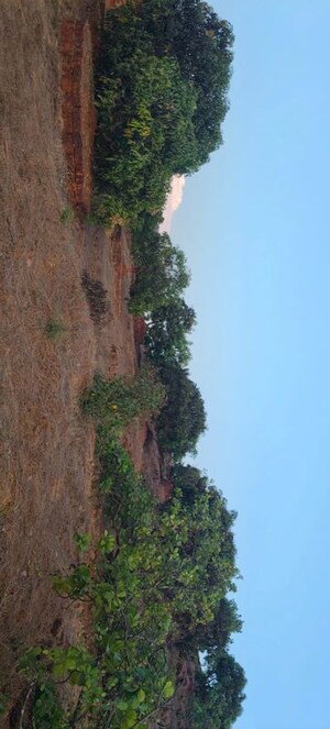  Plot – Garden View at Dapoli - for Sale