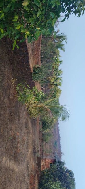  Plot – Garden View at Dapoli - for Sale