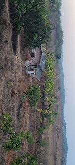 40000 Sq.Ft. Plot in Dapoli