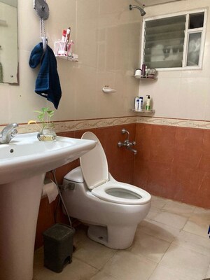 Bathroom in 3 BHK Apartment at Concorde Manhattans, Electronic City – for Rent