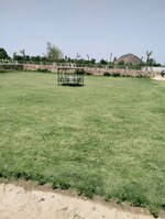 50 Sq.Yd. Plot in Tijara