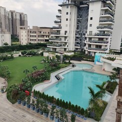 3.5 BHK + Servant Room Apartment For Sale in Saan Verdante
