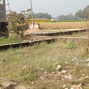 Plot Area in  Plot at Sai Valley, Rohania – for Sale