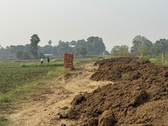 Plot For Sale in Beldarichak