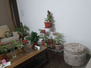 Living Room in 3 BHK Apartment at Alaknanda – for Sale