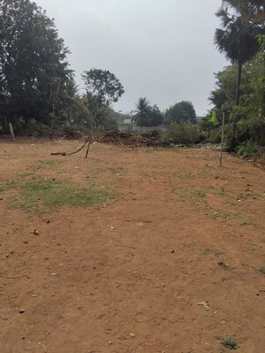  Plot For Sale in Denkada