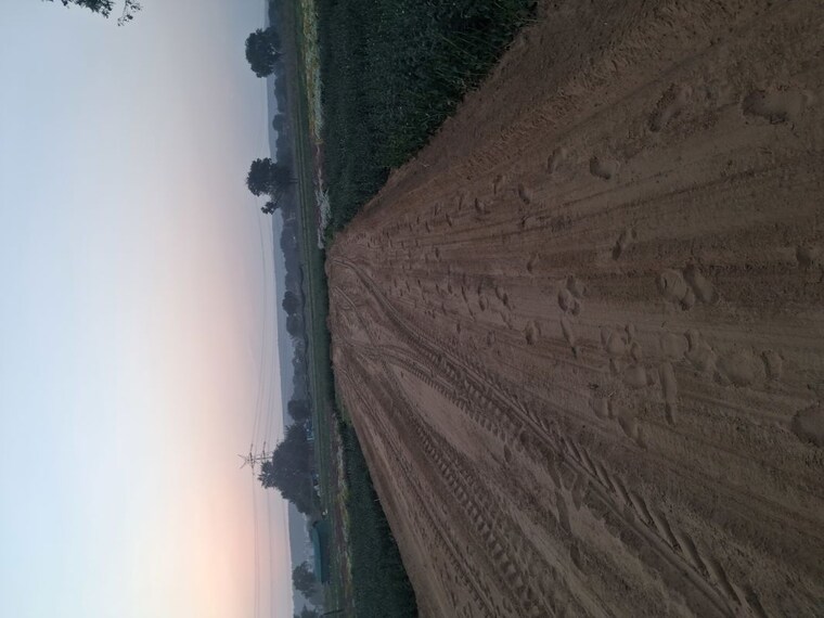 undefined, bhondsi  100 Sq.Yd. Plot In Bhondsi Gurgaon 10323378