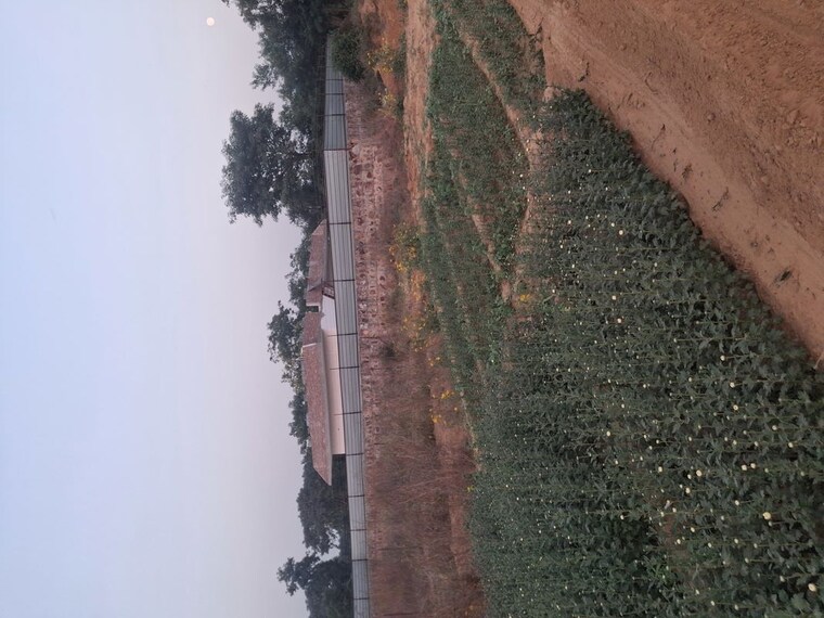 Exterior View, bhondsi  100 Sq.Yd. Plot In Bhondsi Gurgaon 10323378