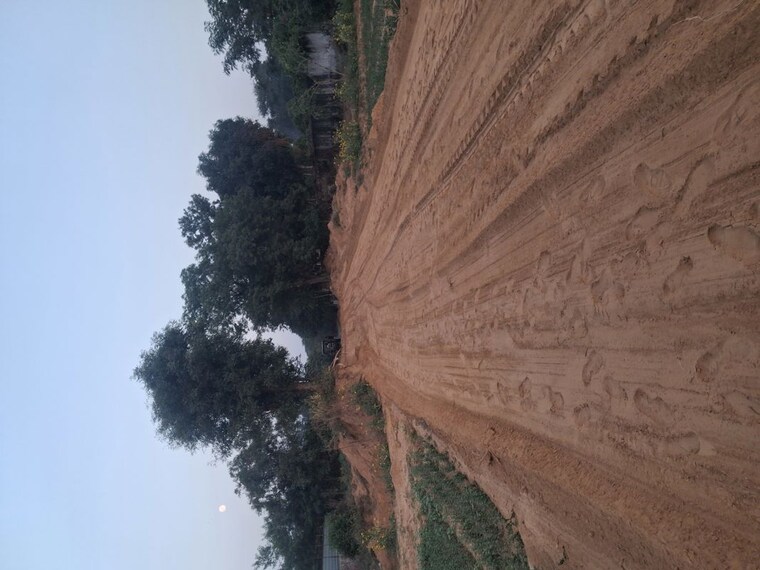 undefined, bhondsi  100 Sq.Yd. Plot In Bhondsi Gurgaon 10323378