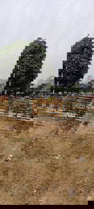 Plot Area in  Plot at GMADA Eco City, North Mullanpur – for Sale