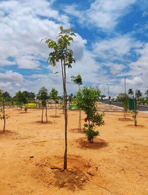 Plot Area in  Plot at Devanahalli Road – for Sale
