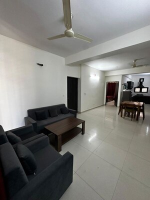 Living Room in 3 BHK Builder Floor at Sector 51 – for Rent