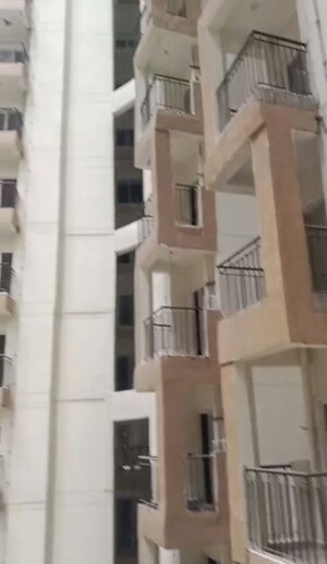 2 BHK Apartment For Rent in Amrapali Dream Valley, Tech Zone 4 Greater Noida
