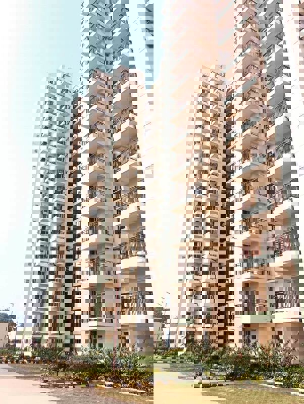 1 BHK 303 Sq.Ft. Apartment in Pivotal Paradise