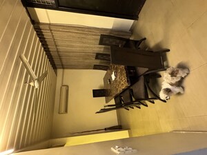 Dining area in 5 BHK Independent House at Dayanand Nagar – for Sale