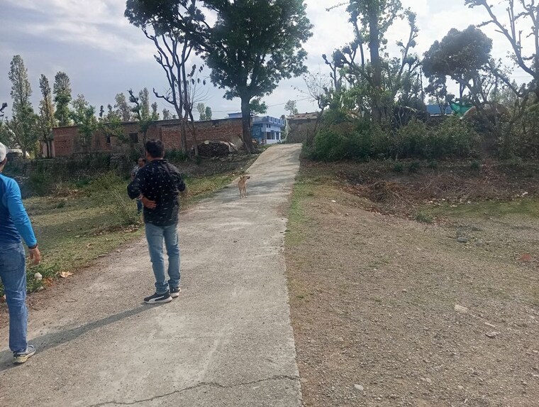 undefined, raipur road  900 Sq.Ft. Plot In Raipur Road Dehradun 10324232