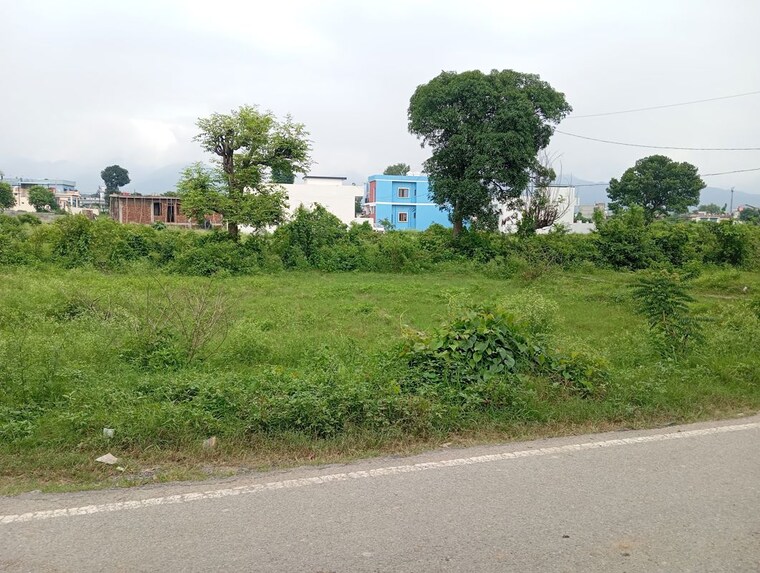 Garden, jolly grant  1150 Sq.Ft. Plot In Jolly Grant Dehradun 10324256