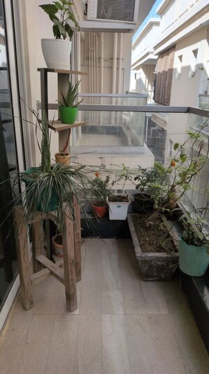 2 BHK Builder Floor For Sale in Signature Global City 92, Sector 92