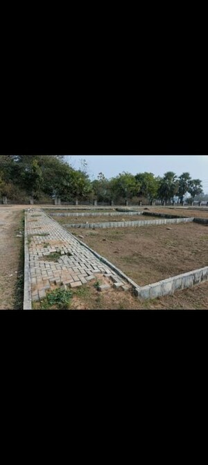  Plot For Sale in Sector 80