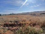 365 Sq.Yd. Industrial Plot in Trimbak Road