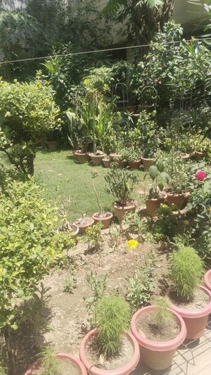 2 BHK Builder Floor – Garden View at Gomti Nagar - for Rent