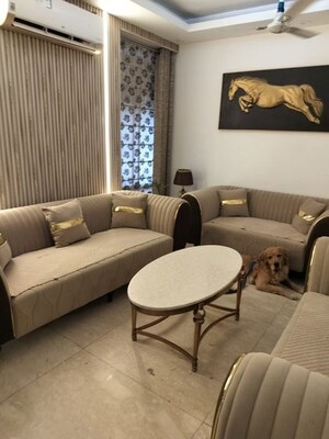Living Room in 3 BHK Apartment at Sector 6 Dwarka – for Rent