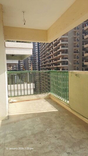 2 BHK Apartment For Rent in Gaur City 2 - 14th Avenue, Sector 16c Greater Noida