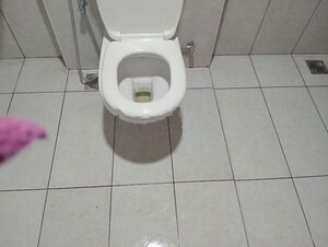 Bathroom in 1 BHK Apartment at Godrej Nurture Electronic City, Electronic City Phase I – for Rent