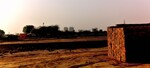 100 Sq.Yd. Plot in Munjal Tower