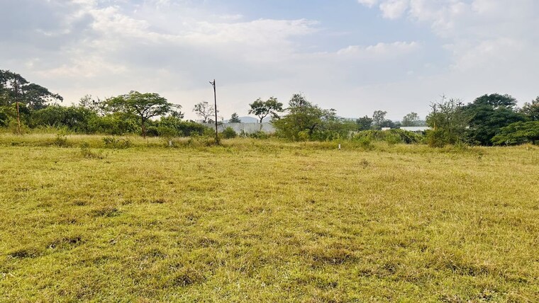 undefined, khambale  463 Sq.Ft. Plot In Khambale Nashik 10325608