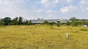 Plot Area in  Plot at Khambale – for Sale