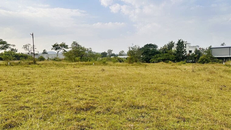 undefined, khambale  463 Sq.Ft. Plot In Khambale Nashik 10325608