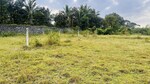 463 Sq.Ft. Plot in Khambale